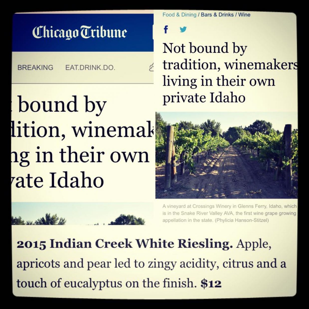 Rave Riesling review from the Chicago Tribune!